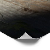 Cat on Fence (9) Poster (Hoek)