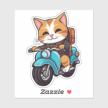 cat on motorcycle
