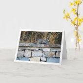 Cat on Rock Wall Kaart (Gele Bloem)