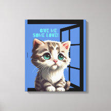 CAT ON THE WINDOW OFFERTE