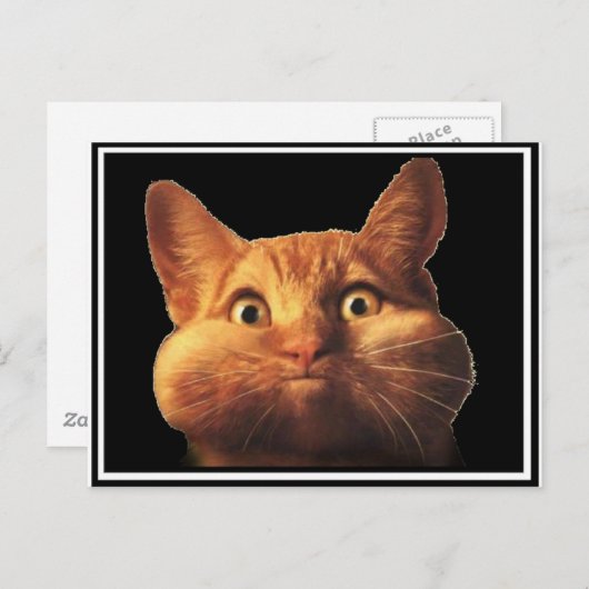 CAT OOPS BRIEFKAART (Voorkant / Achterkant)