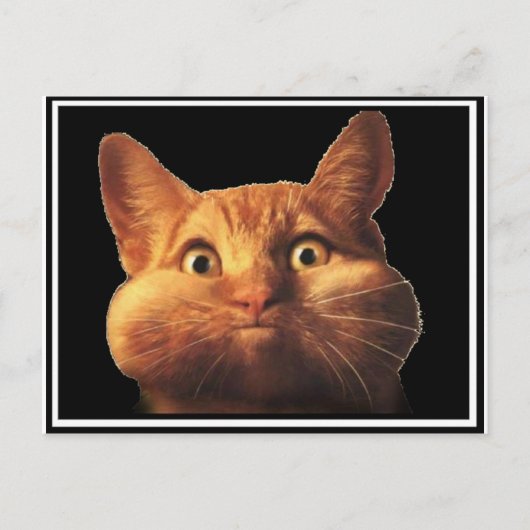 CAT OOPS BRIEFKAART (Voorkant)