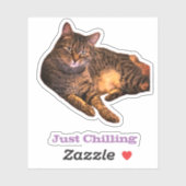 Cat op maat gesneden vinyl Stickers (Vel)