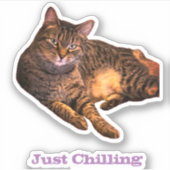 Cat op maat gesneden vinyl Stickers (Voorkant)