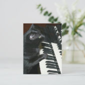 Cat organ overweging briefkaart (Staand voorkant)