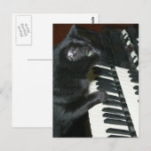 Cat organ overweging briefkaart (Voorkant / Achterkant)