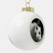 Cat Ornament (Links)