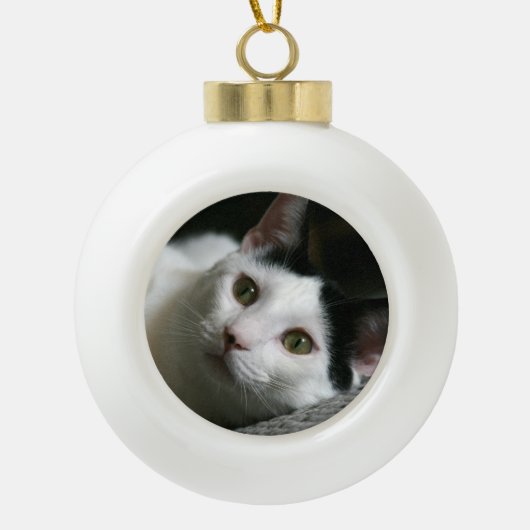 Cat Ornament (Voorkant)