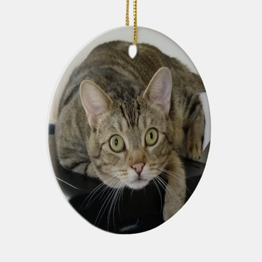 Cat Ornament (Rechts)