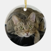 Cat Ornament (Voorkant)