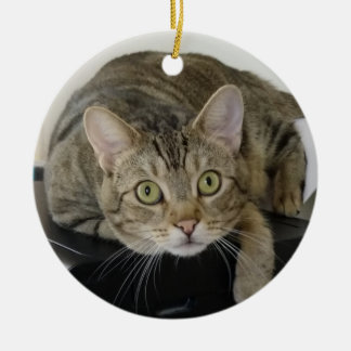 Cat Ornament