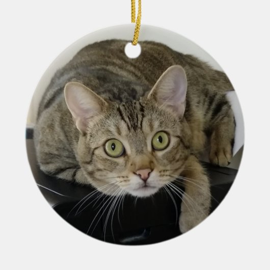Cat Ornament (Voorkant)