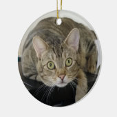 Cat Ornament (Links)