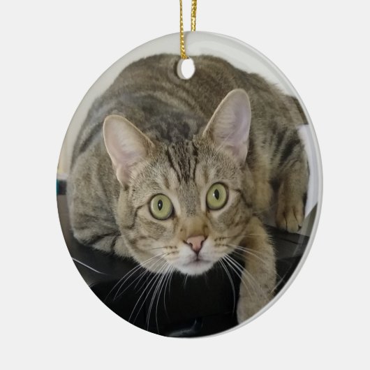 Cat Ornament (Links)