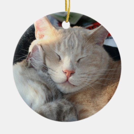 Cat Ornament (Voorkant)