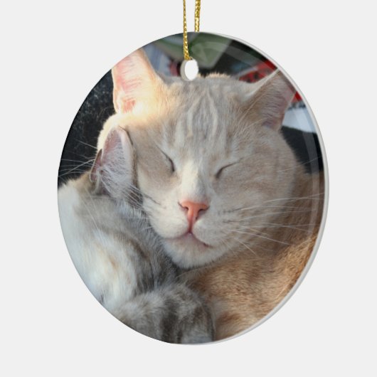 Cat Ornament (Links)