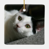 Cat Ornament (Achterkant)