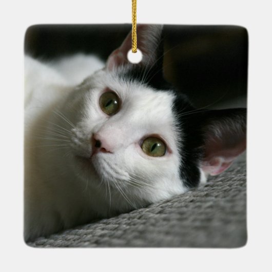 Cat Ornament (Achterkant)