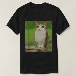 Cat Owl Meme Cursed Animal Hybrid Design T-shirt