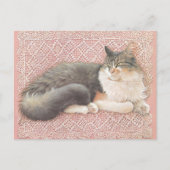 CAT PAINTED POSTCARD BRIEFKAART (Voorkant)