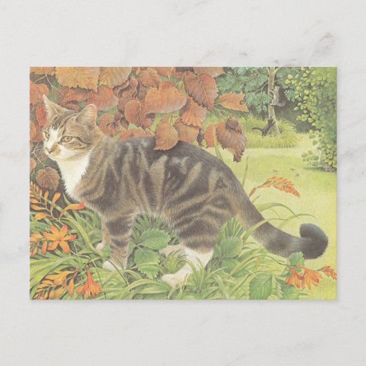 CAT PAINTED POSTCARD BRIEFKAART (Voorkant)