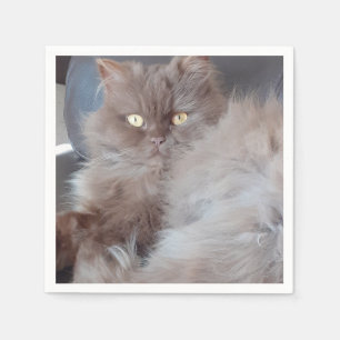 Cat Paper Napkin Servet