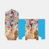 Cat Party Bedankdoosjes (Uitgevouwen)