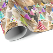 Cat Party Cadeaupapier (Rol Hoek)