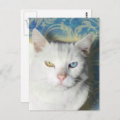 Cat - Patrick the White Cat Briefkaart (Voorkant / Achterkant)