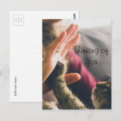 Cat Paw geeft high-five Briefkaart (Voorkant / Achterkant)