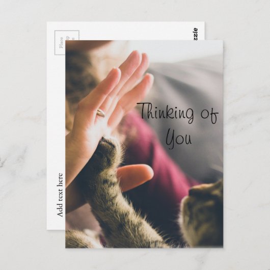 Cat Paw geeft high-five Briefkaart (Voorkant / Achterkant)