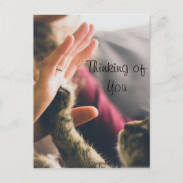 Cat Paw geeft high-five Briefkaart