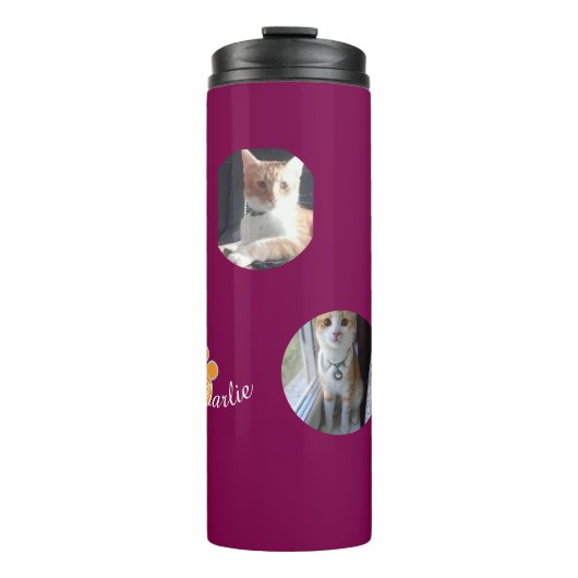 Cat Pawprint Humor Cat Photo Thermosbeker (Voorkant)