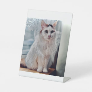 Cat Pedastal Reclamebord Met Voetstuk