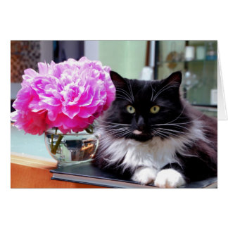 Cat & Peonies-kaart