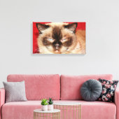 CAT PERSIAN SLEEEPY STRETCHED CANVAS AFDRUK (Insitu (Woonkamer))
