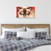 CAT PERSIAN SLEEEPY STRETCHED CANVAS AFDRUK (Insitu (Slaapkamer))