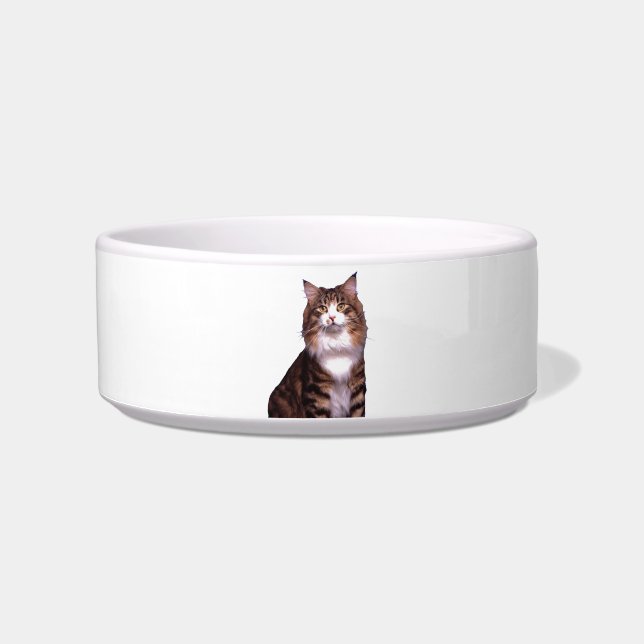 Cat Pet Bowl Voerbakje (Voorkant)