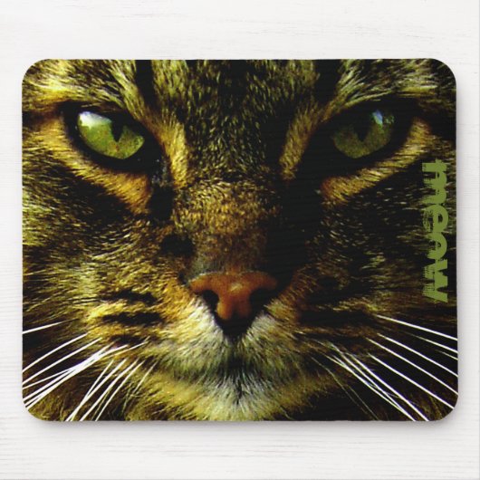 Cat Pet Hypnotiting Eyes Foto Aangepaste tekst Muismat (Voorkant)