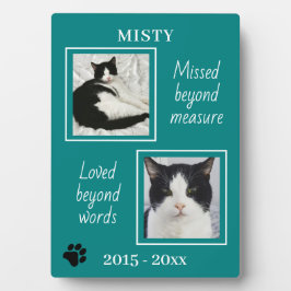 Cat Pet Memorial gemist voorbij Maatregel Foto Jad Fotoplaat