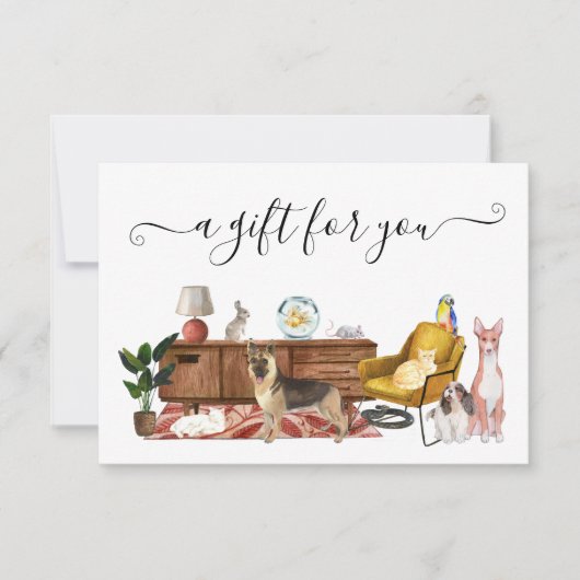 Cat Pet Sitting Walking (Voorkant)