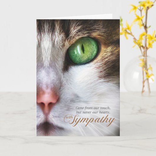 Cat Pet Sympathie Tabby Face Tender Message Kaart (Gele Bloem)