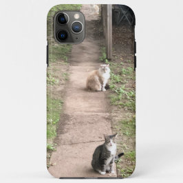 Cat Phone Case