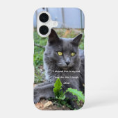 cat phone case iPhone 16 hoesje (Achterkant)