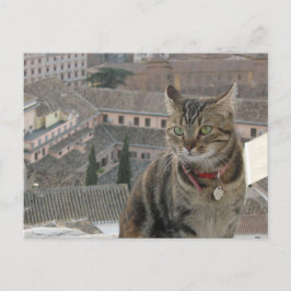 Cat Photo Briefkaart