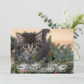 Cat Photo Brush Script Snowy MEOWY CHRISTMAS Feestdagenkaart (Staand voorkant)