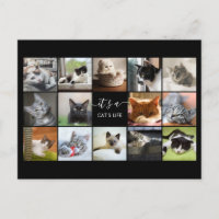 Cat Photo Collage
