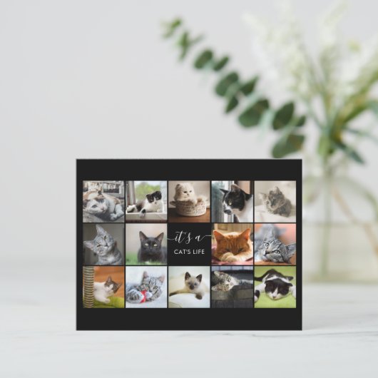 Cat Photo Collage Briefkaart (Staand voorkant)