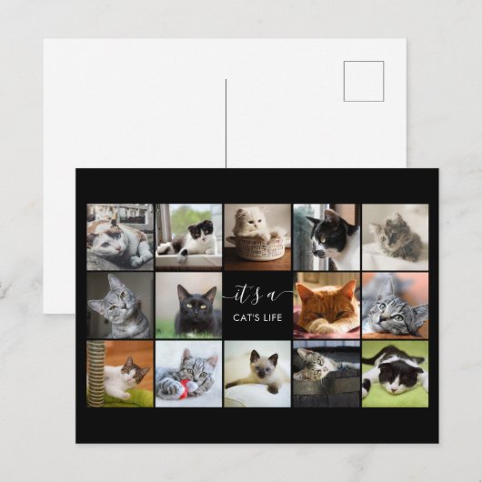 Cat Photo Collage Briefkaart (Voorkant / Achterkant)