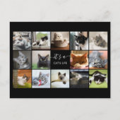 Cat Photo Collage Briefkaart (Voorkant)
